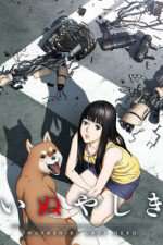 Watch Inuyashiki 9Movies