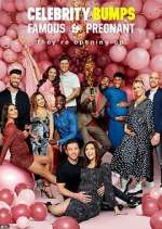 Watch Celebrity Bumps: Famous & Pregnant 9Movies