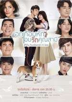 Watch My Husband in Law 9Movies