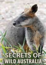 Watch Secrets of Wild Australia 9Movies