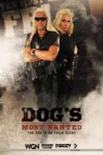 Watch Dog\'s Most Wanted 9Movies