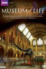 Watch BBC Museum of Life 9Movies