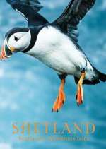 Watch Shetland: Scotland's Wondrous Isles 9Movies