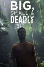 Watch Big, Small & Deadly 9Movies