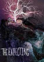 Watch The Expecting 9Movies