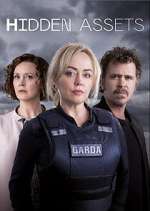 Watch Hidden Assets 9Movies
