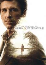 Watch The Truth About the Harry Quebert Affair 9Movies