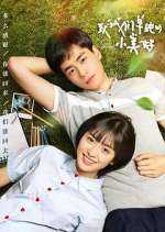 Watch A Love So Beautiful 9Movies