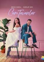 Watch Cam Tavanlar 9Movies