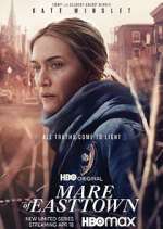 Watch Mare of Easttown 9Movies