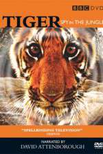 Watch Tiger: Spy in the Jungle 9Movies