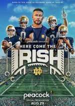 Watch Here Come The Irish 9Movies